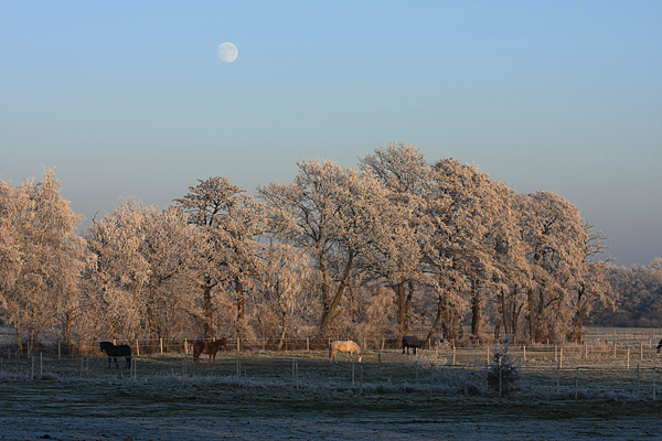 winterlandschaft